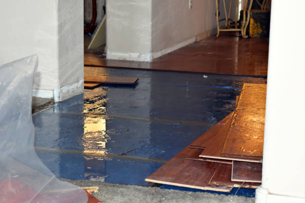 Professional Basement Flood Cleanup technician working in Del Rio, TN